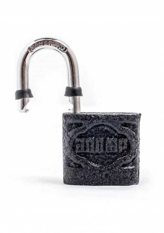 Замок навесной ВС1Ч-350 8мм 5кл полимер Аллюр