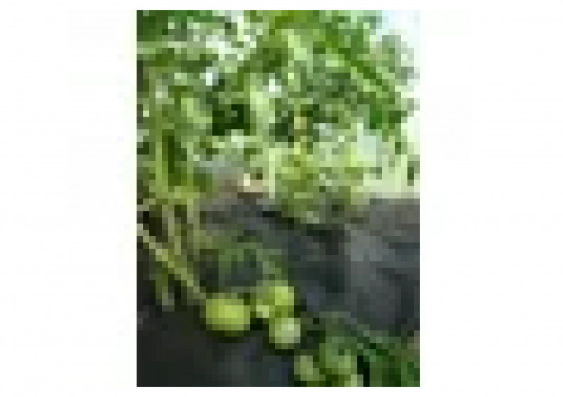 Укрывной материал черный 1,6х10 №60 АГРОТЕКС